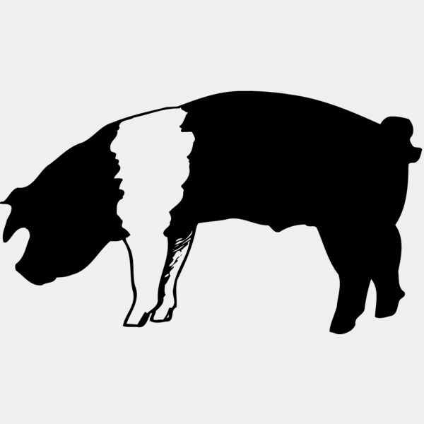 HOG0007 Thumbnail