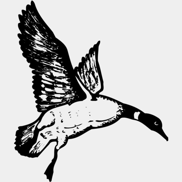 BIRD082 Thumbnail