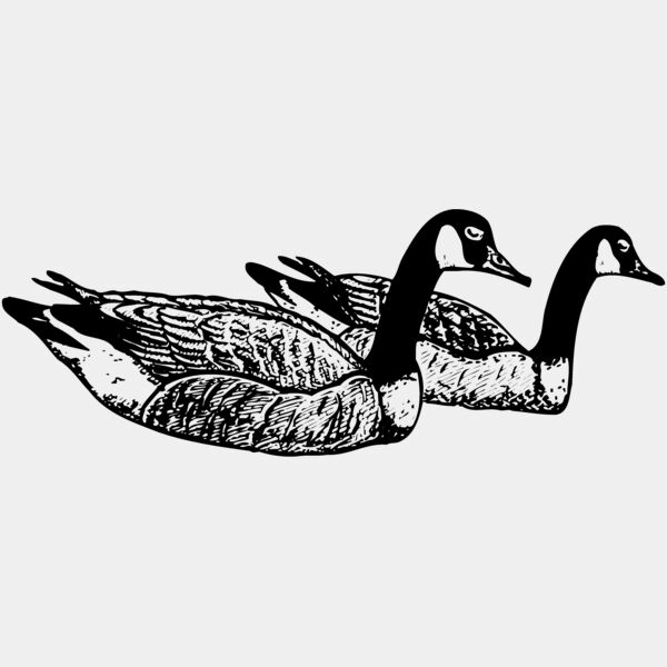 BIRD100 Thumbnail