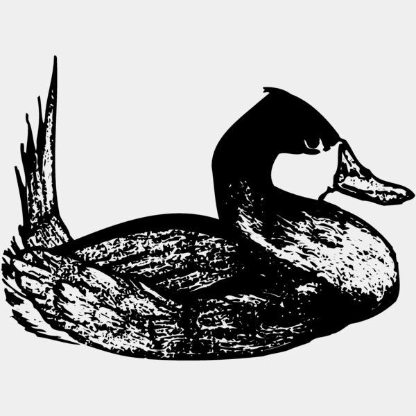 BIRD102 Thumbnail