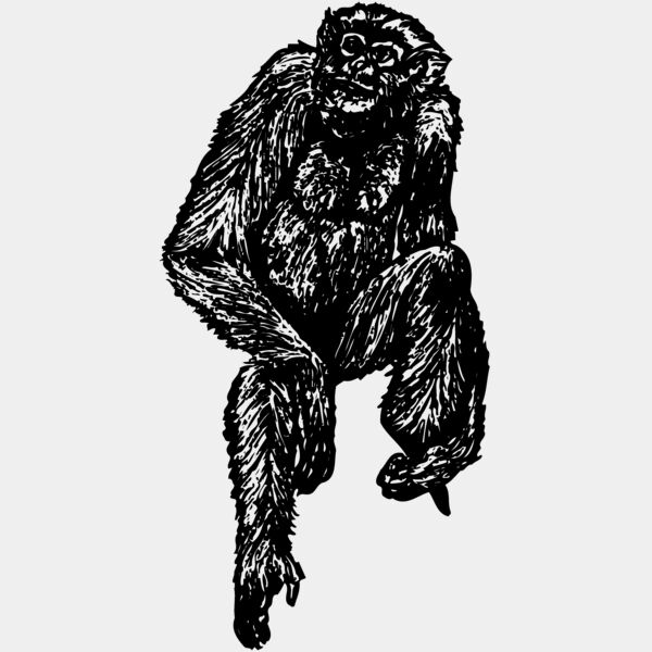 MONK004 Thumbnail