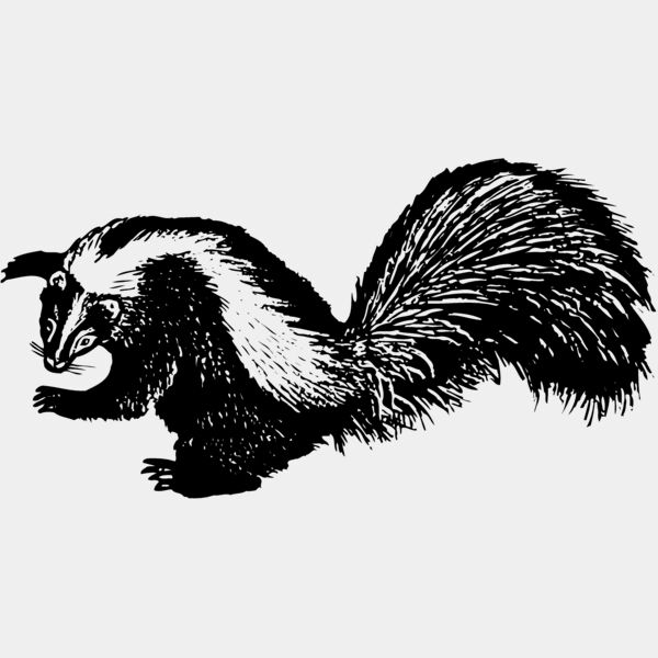 SKUNK002 Thumbnail