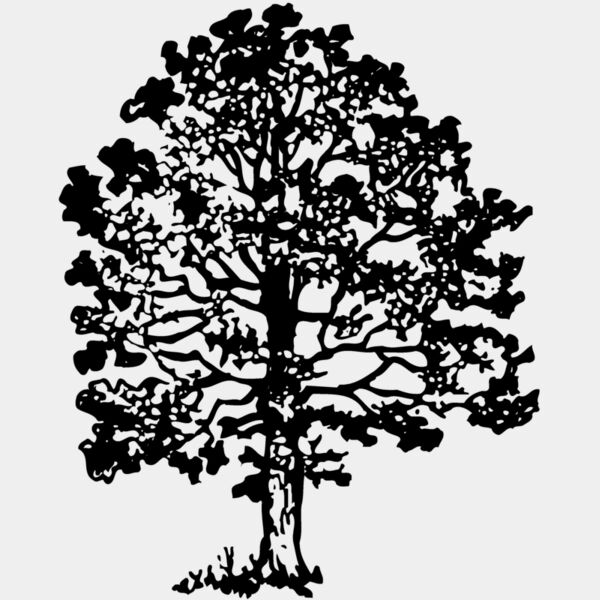 TREE0016 Thumbnail